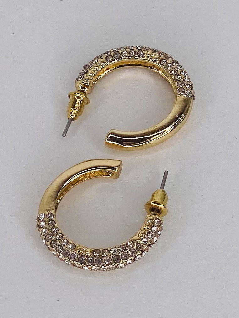 Earrings Blingy Hoop Earring- Goldie