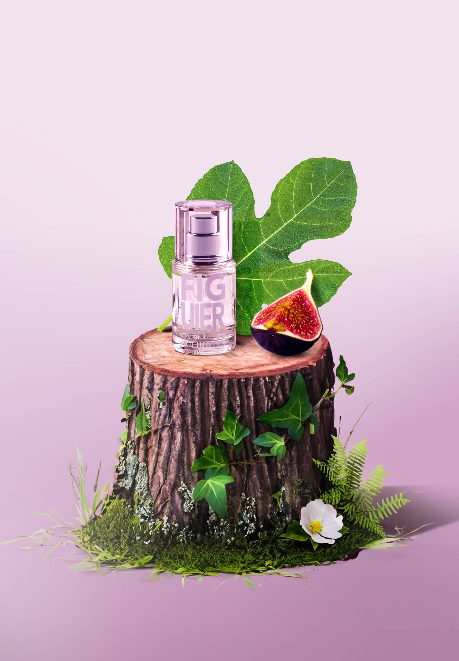 Beauty Mini Fig Tree Perfume 0.5 oz - CLEAN BEAUTY