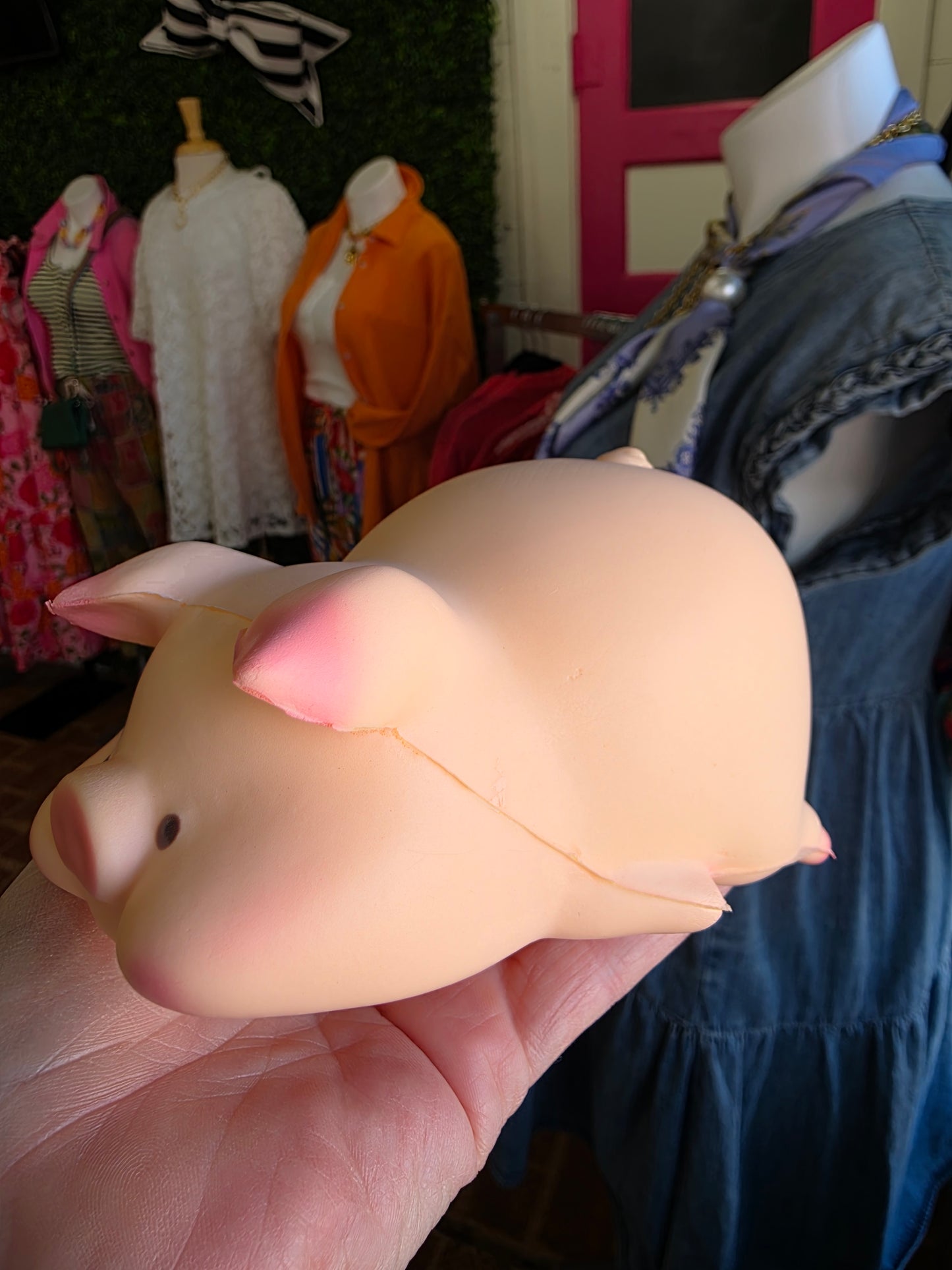 Piggy Squishy