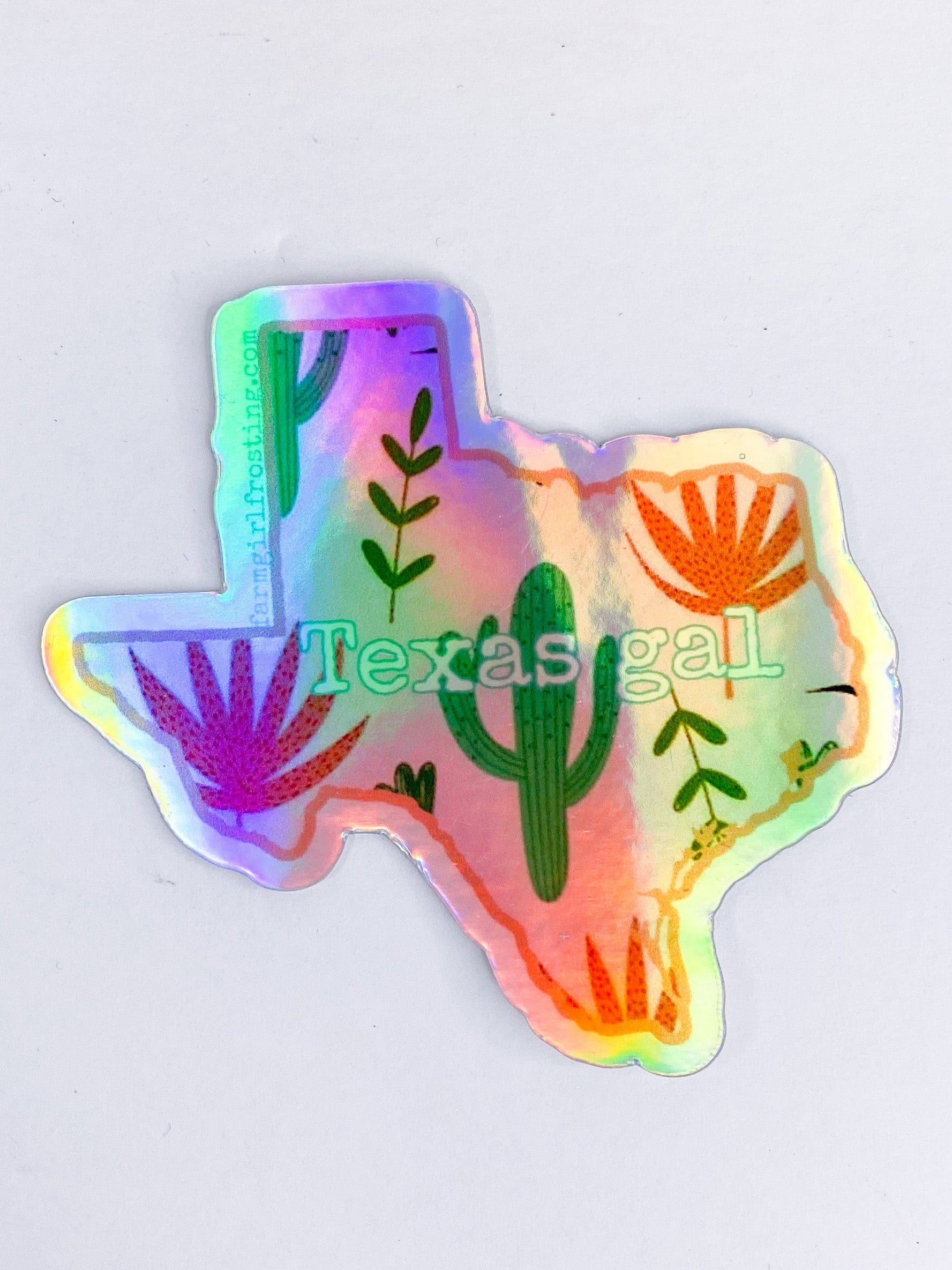 Other Goodies Fun Vinyl Stickers Holographic Texas Gal